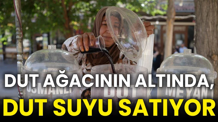 Dut ağacının altında, dut suyu satıyor
