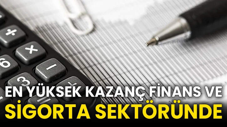 En yüksek kazanç finans ve sigorta sektöründe
