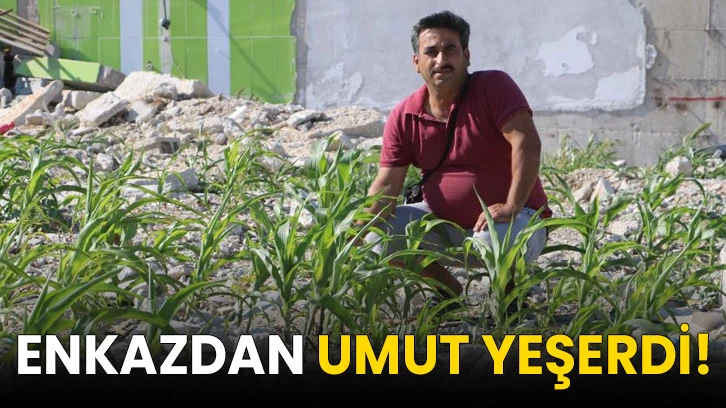 Enkazdan umut yeşerdi!