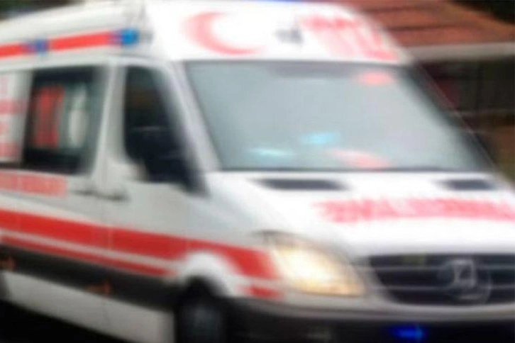 Eşinin kestiği dal sonu oldu