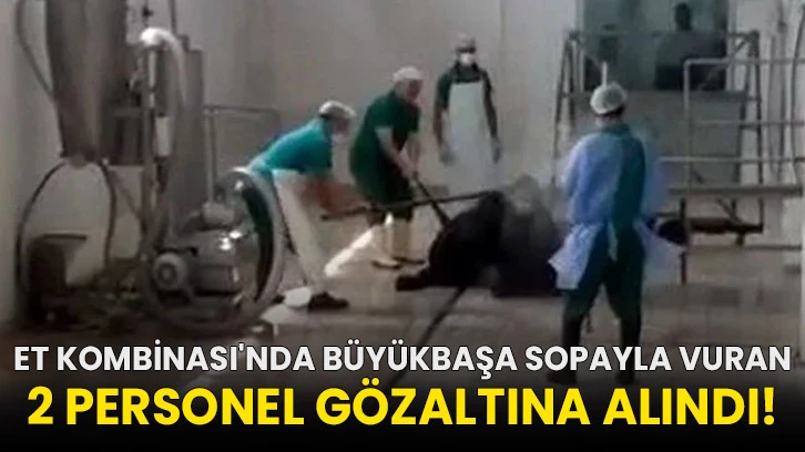 Et Kombinası'nda büyükbaşa sopayla vuran 2 personel gözaltına alındı!