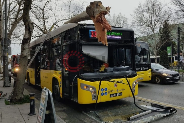 Fatih’te facianın eşiğinden dönüldü: İçinde yolcuların bulunduğu İETT otobüsü ağaca çarptı