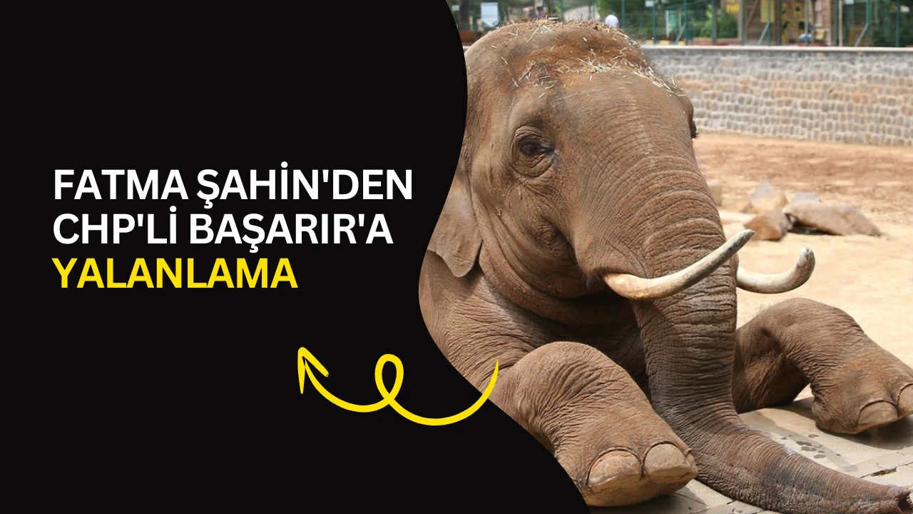 Fatma Şahin'den CHP'li Başarır'a yalanlama