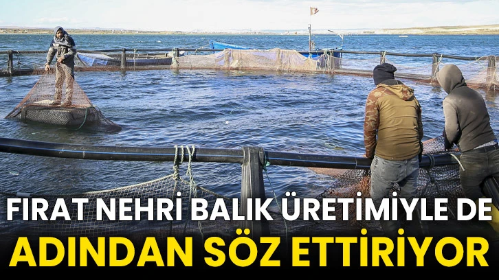 Fırat Nehri balık üretimiyle de adından söz ettiriyor