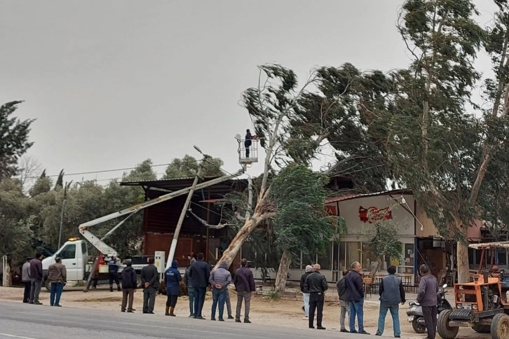 Fırtına İzmir'de ağaçları kökünden söktü, çatıları uçurdu
