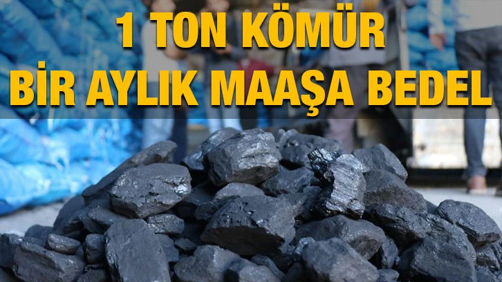 1 Ton Kömür, Bir Aylık Maaşa Bedel