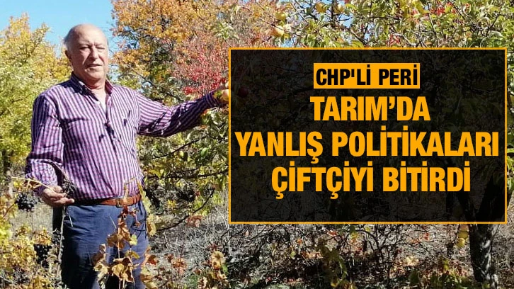 CHP'li Peri: Yanlış tarım politikaları, çiftçiyi bitirdi