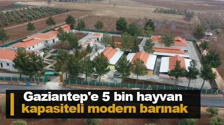 Gaziantep'e 5 bin hayvan kapasiteli modern barınak