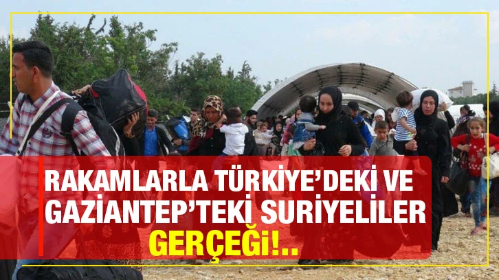 Rakamlarla Türkiye’deki ve Gaziantep’teki Suriyeliler gerçeği!..