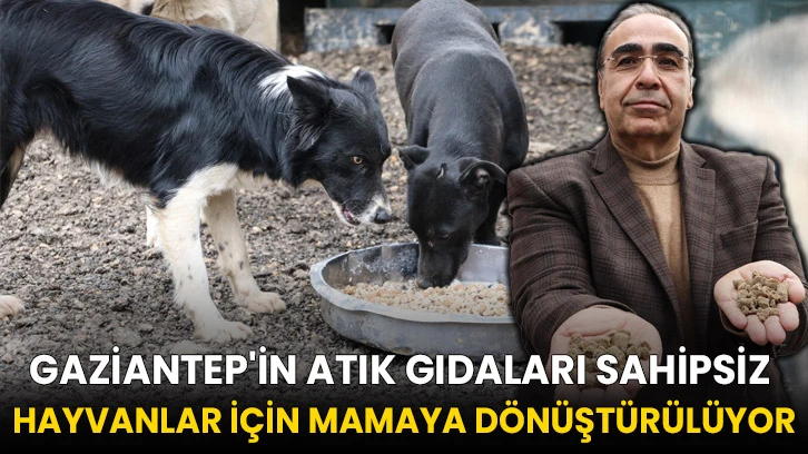 Gaziantep'in atık gıdaları sahipsiz hayvanlar için mamaya dönüştürülüyor
