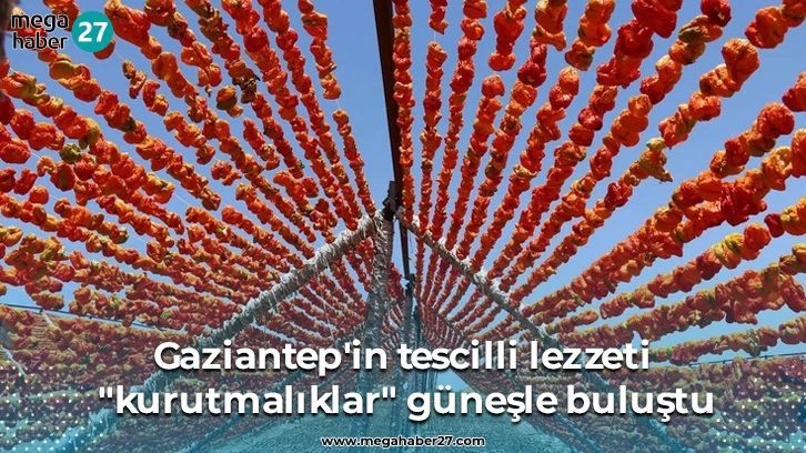 Gaziantep'in tescilli lezzeti "kurutmalıklar" güneşle buluştu