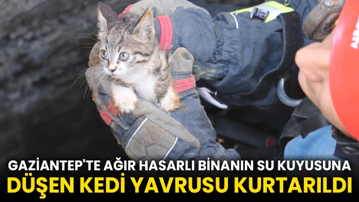 Gaziantep'te ağır hasarlı binanın su kuyusuna düşen kedi yavrusu kurtarıldı