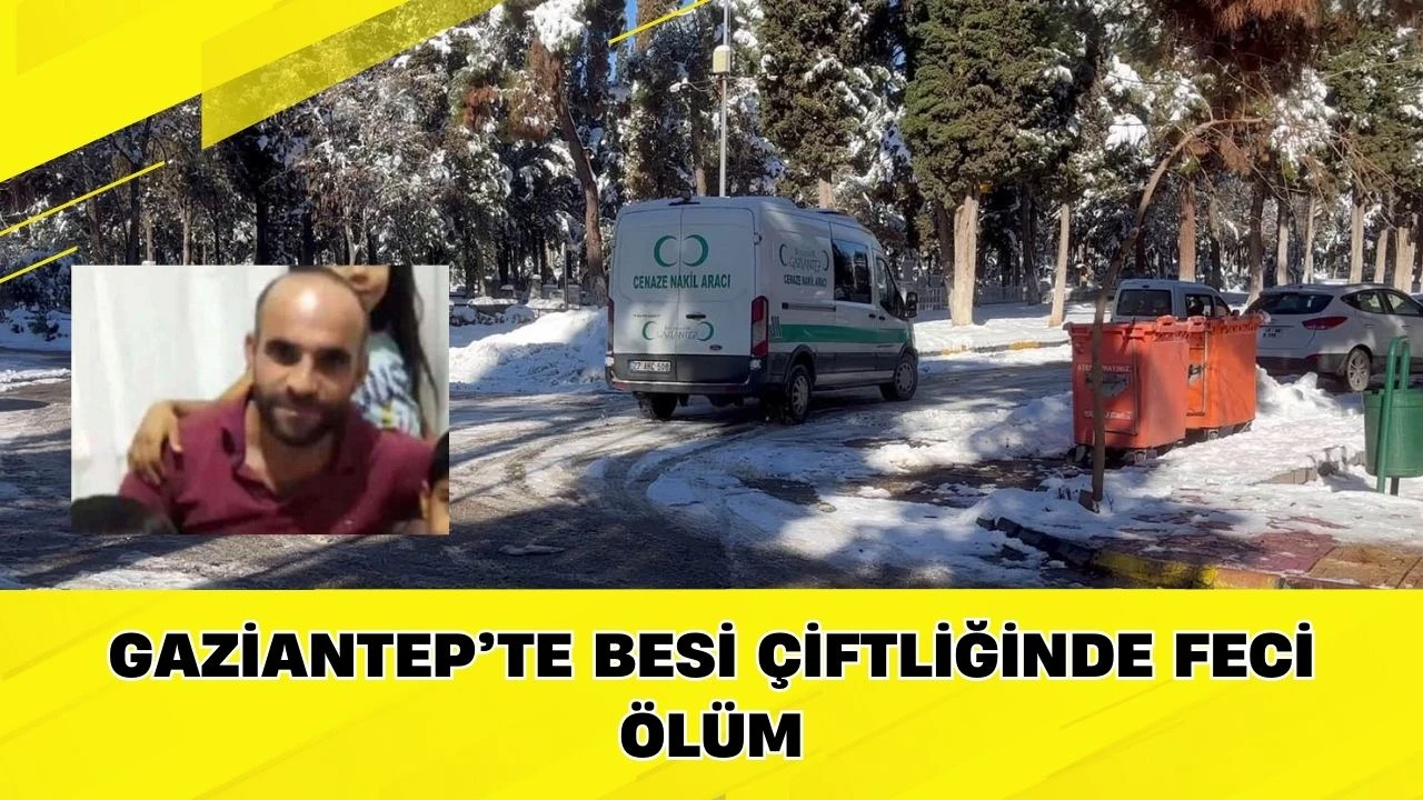 Gaziantep&rsquo;te Besi &Ccedil;iftliğinde Feci &Ouml;l&uuml;m