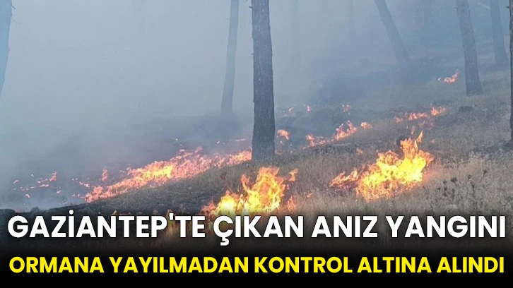 Gaziantep'te çıkan anız yangını ormana yayılmadan kontrol altına alındı