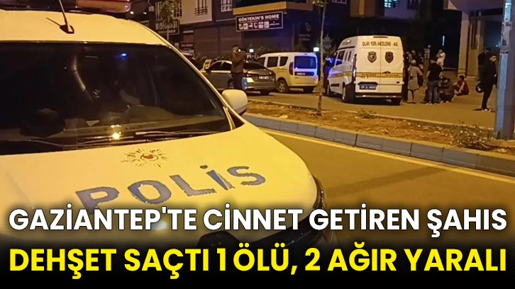 Gaziantep'te cinnet getiren şahıs dehşet saçtı 1 ölü, 2 ağır yaralı