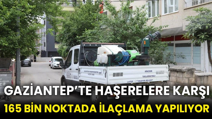 Gaziantep’te haşerelere karşı 165 bin noktada ilaçlama yapılıyor