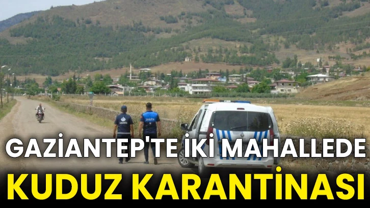 Gaziantep'te iki mahallede kuduz karantinası