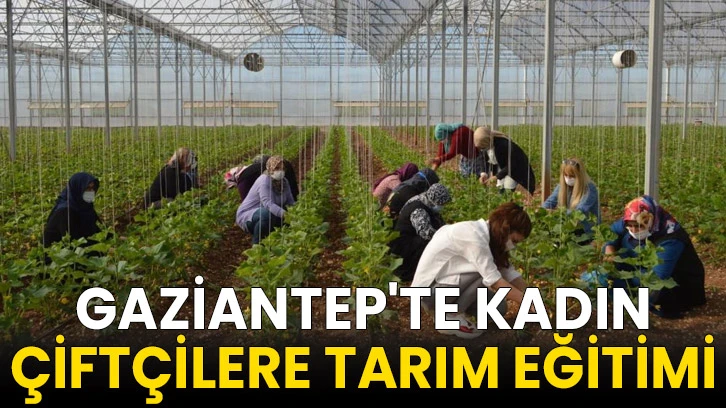 Gaziantep'te kadın çiftçilere tarım eğitimi