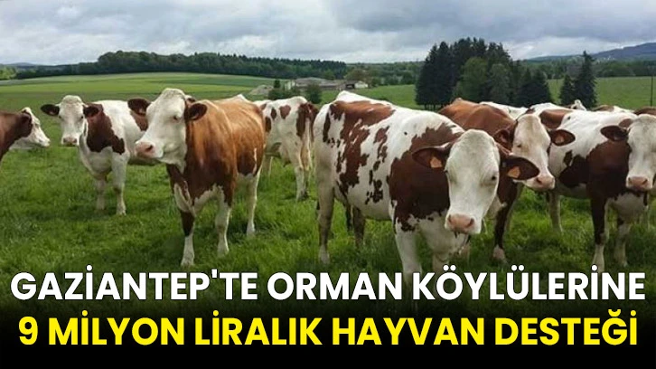 Gaziantep'te orman köylülerine 9 milyon liralık hayvan desteği