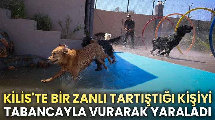 Gaziantep'te sıcaktan bunalan pet otel sakinleri havuzda serinliyor