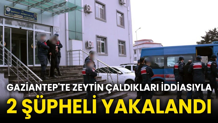 Gaziantep'te zeytin çaldıkları iddiasıyla 2 şüpheli yakalandı