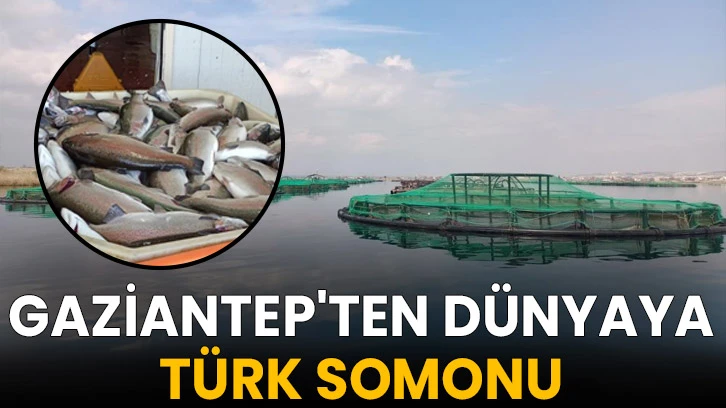 Gaziantep'ten dünyaya Türk somonu