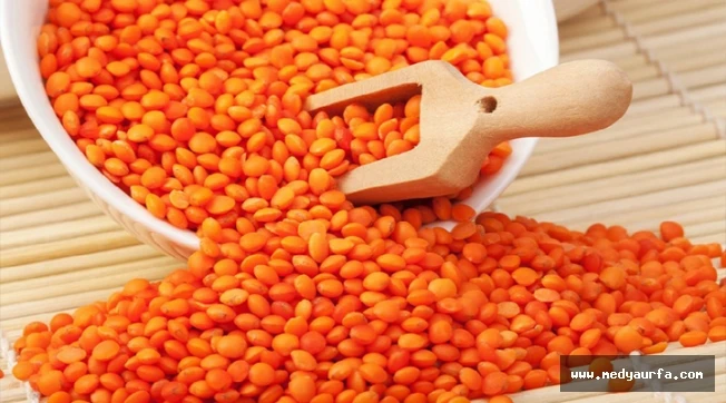 Gaziantep Ticaret Borsası'nda kırmızı kabuklu mercimeğin kilogramı 