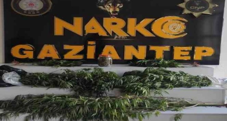 Gaziantep’te dev uyuşturucu operasyonu: 20 gözaltı