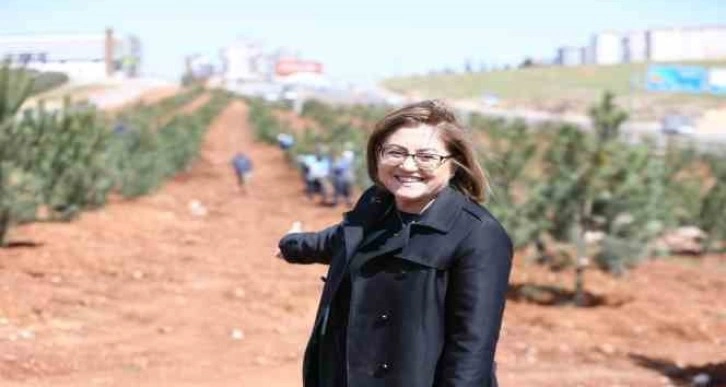 Gaziantep’te kişi başına düşen yeşil alan yaklaşık 13 metrekareye çıktı