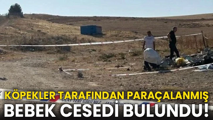 Gaziantep'te korkunç olay! Köpekler tarafından paraçalanmış bebek cesedi bulundu!