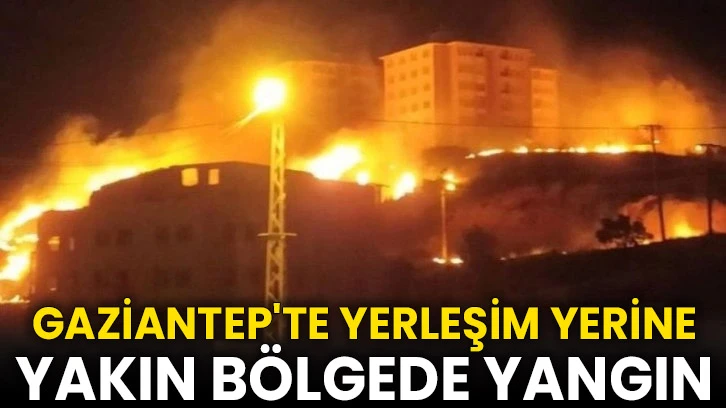 Gaziantep'te yerleşim yerine yakın bölgede yangın