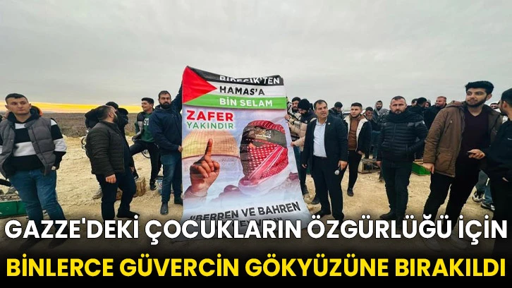 Gazze'deki çocukların özgürlüğü için binlerce güvercin gökyüzüne bırakıldı