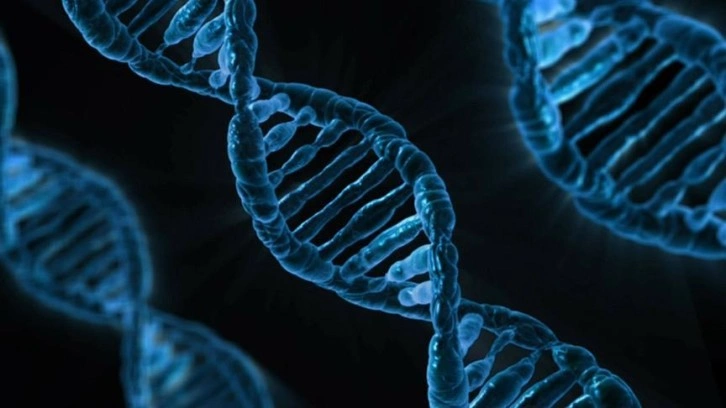 Google'ın yapay zeka şirketi DeepMind, DNA'da hastalığa yol açan genlerin bulunmasını hızl