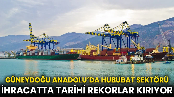 Güneydoğu Anadolu’da Hububat Sektörü İhracatta Tarihi Rekorlar Kırıyor