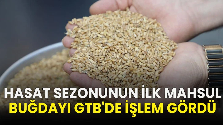 Hasat sezonunun ilk mahsul buğdayı GTB'de işlem gördü