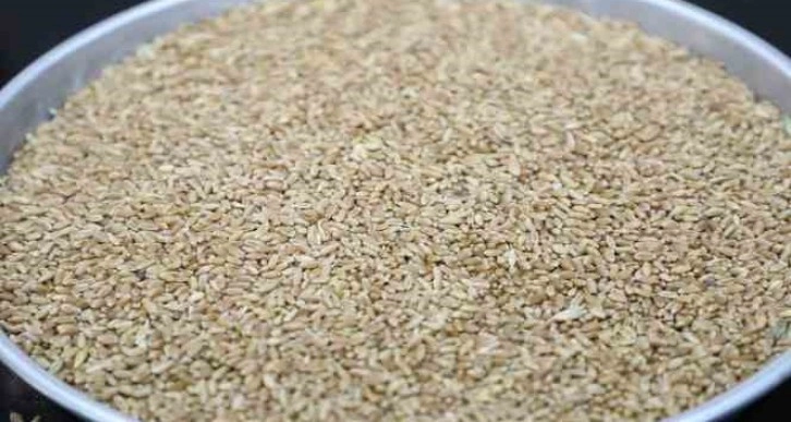 Hasat sezonunun ilk mahsul buğdayı GTB’de işlem gördü