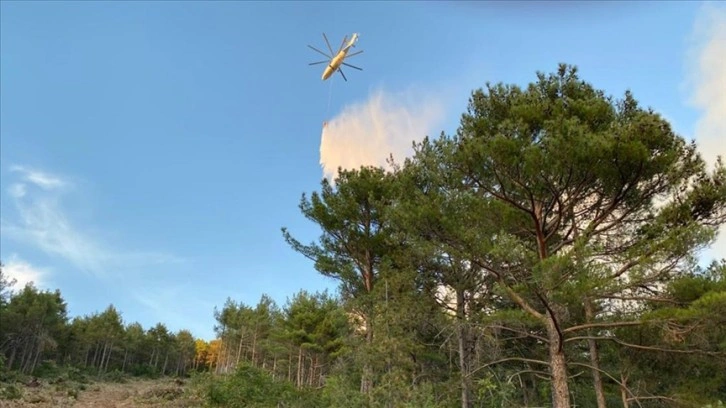 Hatay'da çıkan orman yangınına müdahale ediliyor