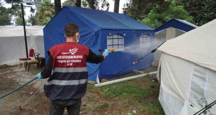 Hatay'da deprem sonrası haşere üreme alanı 120 binden 1 milyona çıktı