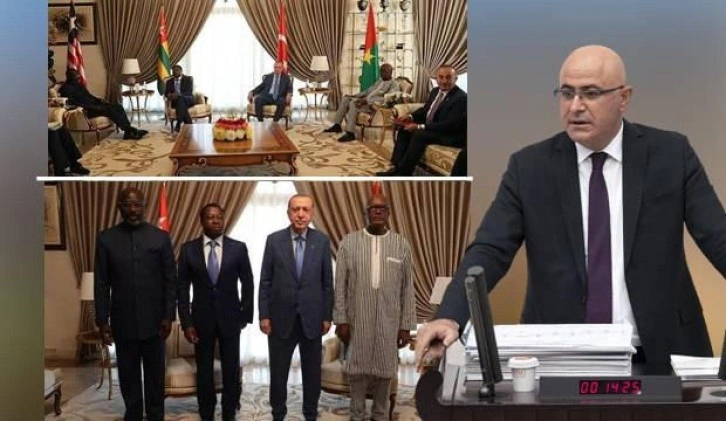 HDP'li Hişyar Özsoy Fransa'yı savundu: Türkiye Afrika'ya abandı