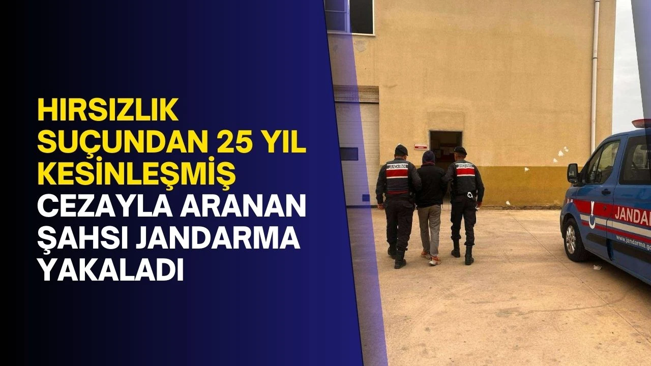 Hırsızlık suçundan 25 yıl kesinleşmiş cezayla aranan şahsı jandarma yakaladı