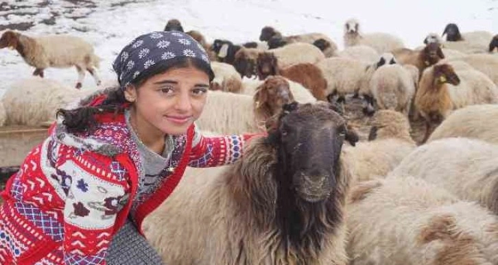 Huzur ortamı sağlanan Şırnak yaylalarında, 13 yaşındaki kız çocuğu hayatını hayvanlara adadı