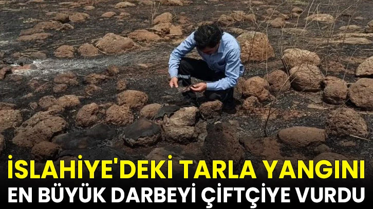 İslahiye'deki tarla yangını en büyük darbeyi çiftçiye vurdu