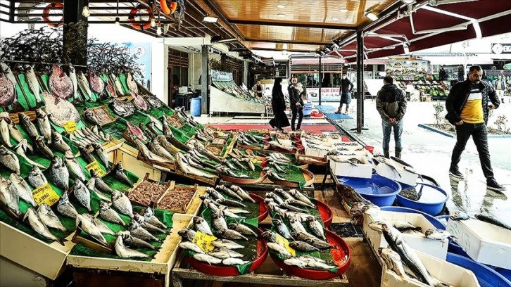 Gaziantepli balıkçılar havaların soğumasını bekliyor