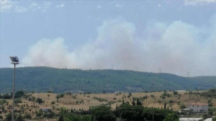 İzmir'de orman ve makilik alanda çıkan yangına müdahale ediliyor