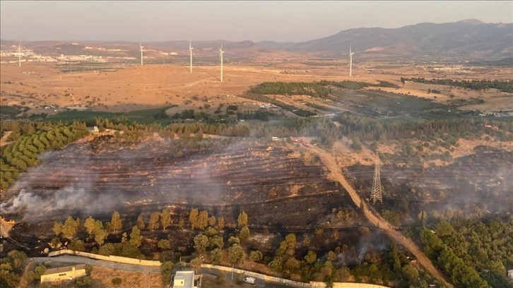 İzmir'in Aliağa ilçesinde orman yangını çıktı