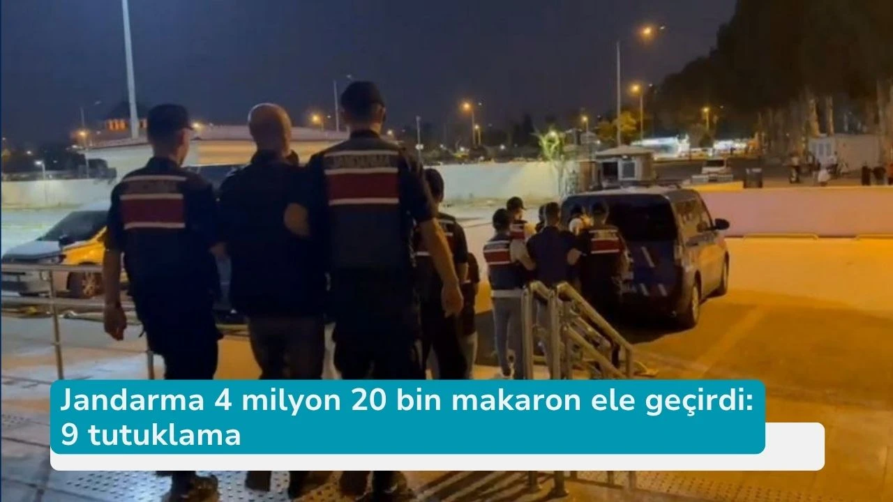 Jandarma 4 milyon 20 bin makaron ele geçirdi: 9 tutuklama