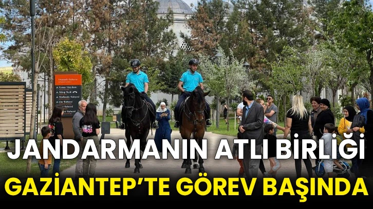 Jandarmanın atlı birliği Gaziantep’te görev başında