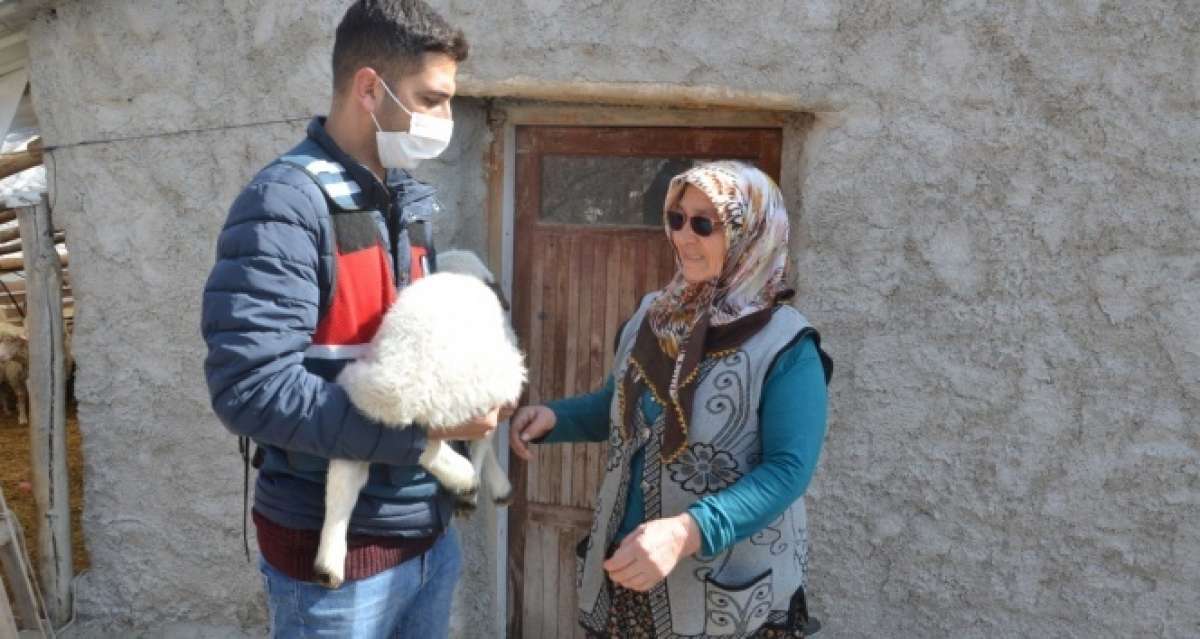JASAT ekipleri koyunları çalınan şehit annesini mutlu etti
