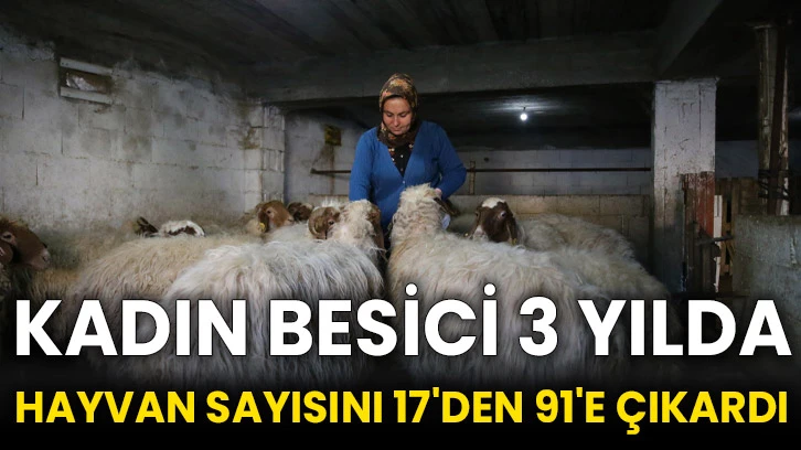 Kadın besici 3 yılda hayvan sayısını 17'den 91'e çıkardı