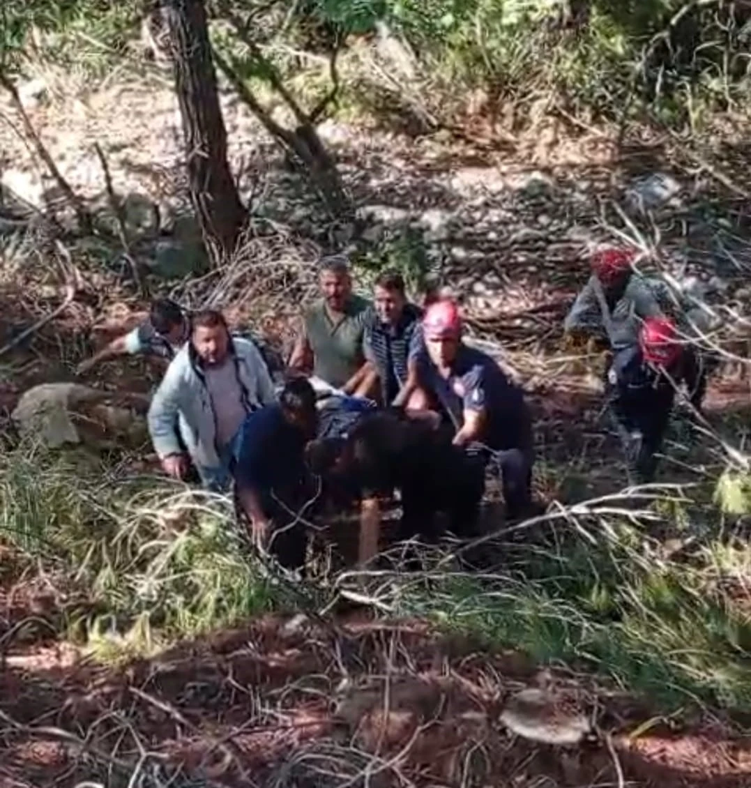 Kamyon uçuruma yuvarlandı, sürücü hayatını kaybetti